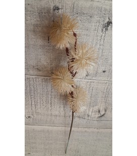PLATAN AUTUMN WHITE