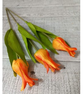 TULIPAN GKM721