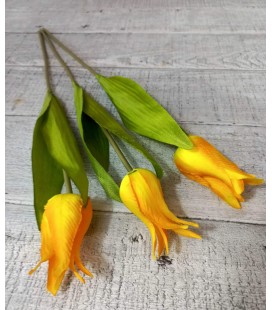 TULIPAN GKM721